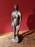 🎄Naakt in was uitgevoerd., Ophalen of Verzenden, Zo goed als nieuw, Mens