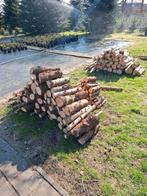 Brandhout. Berk en dennen, Tuin en Terras, Haardhout, Minder dan 3 m³, Ophalen of Verzenden, Overige houtsoorten, Blokken