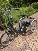Van Raam Maxi 2 driewieler fiets met electr. ondersteuning, Fietsen en Brommers, Ophalen, Gebruikt