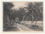 Mensen op een weg bij Demak Nederlands-Indië oude foto, Gebruikt, Verzenden, Foto, Buitenland