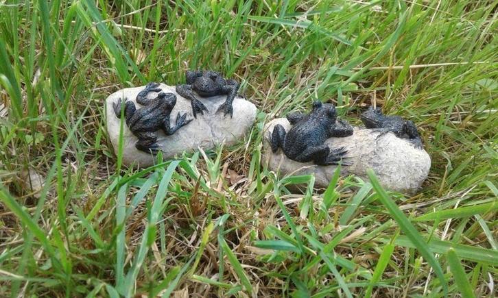 Origineel beeldje twee Kikkers op een steen, grijs zwart, Tuin en Terras, Tuinbeelden, Nieuw, Dierenbeeld, Kunststof, Ophalen of Verzenden