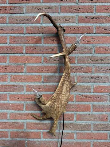 Geweien geweienlamp jacht Veluwe geweien edelhert wandlamp. beschikbaar voor biedingen