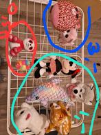 Knuffel: Ty, Ty, minnie, hert, poes, beer, husky, dolfijn, Ophalen of Verzenden, Zo goed als nieuw, Beer