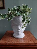 Lucky Vintage Scheurich Keramik hoofd vaas, Ophalen, Gebruikt, Wit, Scheurich Keramik