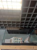 Ciano aquarium, Ophalen of Verzenden, Zo goed als nieuw, Leeg aquarium