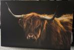 Canvas schilderij Schotse Hooglander 90x60 cm, Ophalen, Schilderij, 75 cm of meer