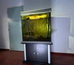 Uniek aquarium - ca .. L, incl kast, filter & achterwand, Ophalen, Zo goed als nieuw, Leeg aquarium