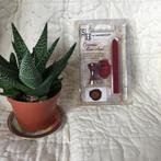 Stuart Houghton Ceramic Mini Seal, Ophalen of Verzenden, Nieuw