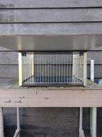 Spoednik, Dieren en Toebehoren, Vogels | Duiven, Overige soorten