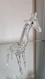 Swarovski baby giraffe, Ophalen, Zo goed als nieuw