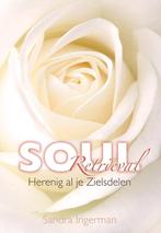 Sandra Ingerman Soul Retrieval Herenig al je Zielsdelen, Boeken, Ophalen of Verzenden, Zo goed als nieuw, Spiritualiteit algemeen