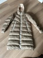 Nieuwe Nike Winterjas - Nooit Gedragen!, Kleding | Heren, Jassen | Winter, Beige, Nike, Nieuw, Overige maten