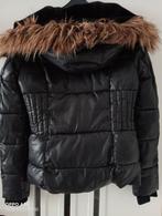 coolcat, Kleding | Dames, Jassen | Winter, Gedragen, Ophalen of Verzenden