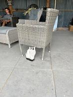 Kitten zwart/wit en bruin/wit, Dieren en Toebehoren, Poes