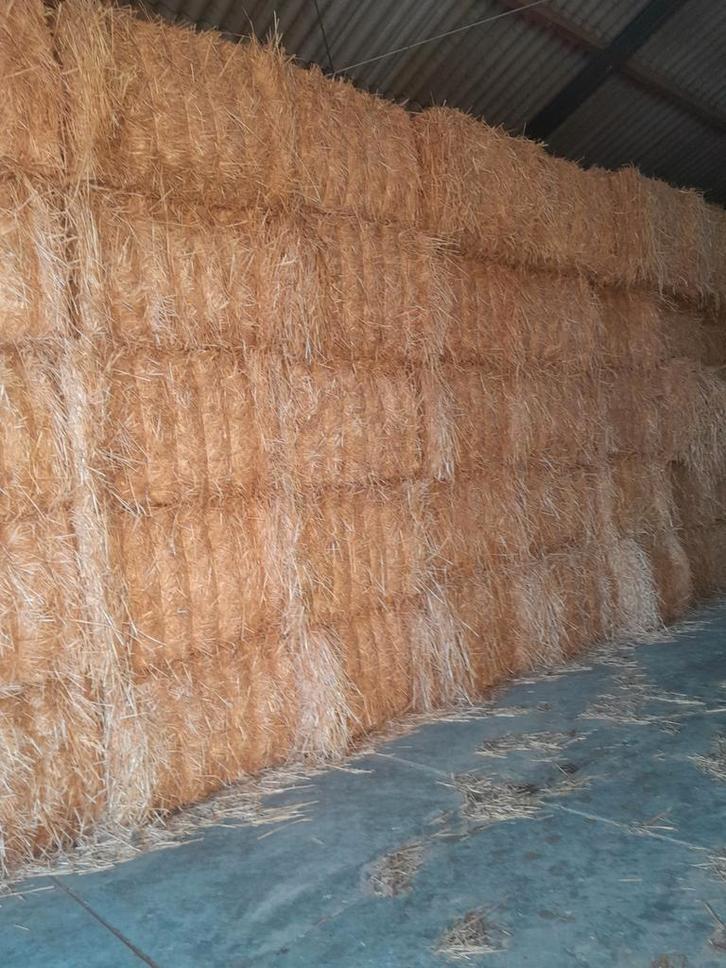Te koop stro., Dieren en Toebehoren, Dierenvoeding, Vee, Ophalen of Verzenden