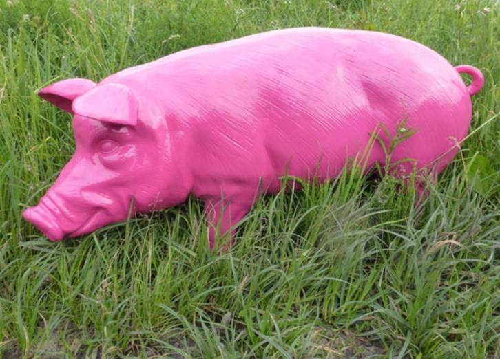 Varken  polyester tuin beeld, Tuin en Terras, Tuinbeelden, Nieuw, Dierenbeeld, Kunststof, Ophalen of Verzenden