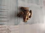 Klein Bronzen Kikker Beeldje, Ophalen of Verzenden, Gebruikt, Dier