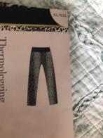 Thermo broek Patty Brard XL/XXL, Overige merken, 160 tot 180 cm, Ophalen of Verzenden, Zo goed als nieuw