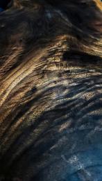 Charcuterie serveerplank #2 (figured walnut), uniek design, Ophalen of Verzenden, Nieuw