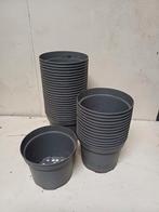 Kweekpotten 2 liter, Tuin en Terras, Bloempotten, Kunststof, Gebruikt, Rond, Bakumer Str.73,
49393 Lohne
Germany