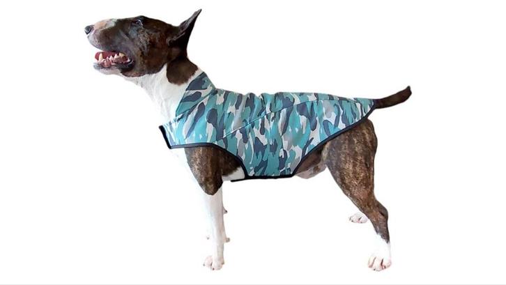 Bull Terrier Softshell jas, Dieren en Toebehoren, Hondenkleding, Nieuw, Hondenjas, Ophalen of Verzenden