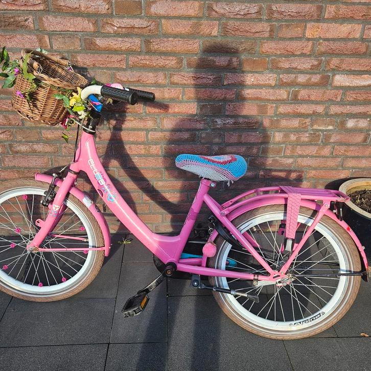 Roze Alpina Clubb meisjesfiets met mand 22 inch, Fietsen en Brommers, Fietsen | Meisjes, Zo goed als nieuw, 20 inch, Handrem, Versnellingen