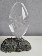 Glazen spin in water op rots, Ophalen of Verzenden, Overige typen