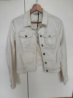 Morgan spijkerjack creme maat 34, Beige, Nieuw, Maat 34 (XS) of kleiner, Morgan