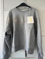 Isabel Marant Houston sweater nieuw, Kleding | Dames, Verzenden, Nieuw, Maat 38/40 (M), Grijs