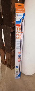 Aquarium lamp T8 color plus roze led 75cm superfisch, Ophalen, Nieuw, Verlichting of Verwarming