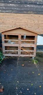 Knaagdier-, konijnenhok, Dieren en Toebehoren, Ophalen, Gebruikt, Hamster, 90 cm of meer