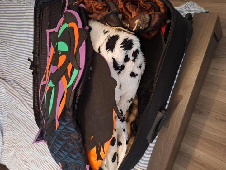 Groot koffer vol met carnavalsspullen, dames en heren, Kleding | Dames, Carnavalskleding en Feestkleding, Zo goed als nieuw, Carnaval