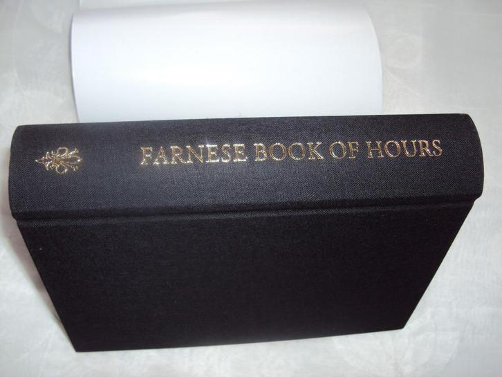 Farnese book of hours, Boeken, Geschiedenis | Wereld, Zo goed als nieuw, Europa, Ophalen of Verzenden