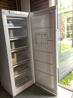 Bosch vrieskast, economic, Witgoed en Apparatuur, Vriezers en Diepvrieskisten, Gebruikt, Energieklasse A of zuiniger, 140 tot 160 cm