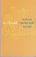 Twee boeken van Ds. J Westerink, Boeken, Ophalen of Verzenden, Gelezen, Ds. J Westerink, Christendom | Protestants