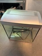 Superfish aquarium 27liter, Ophalen, Gebruikt, Leeg aquarium