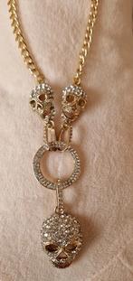 Mooie skull ketting, Verzenden, Zo goed als nieuw, Zilver, Overige materialen