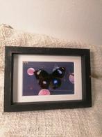 Kleine vlinder in lijst in shadow box, Ophalen of Verzenden, Gebruikt, Insect, Opgezet dier