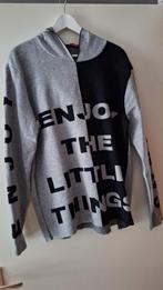 Trui maat 44 ( dames) euro 5.-, Ophalen of Verzenden, Zo goed als nieuw, Maat 42/44 (L)