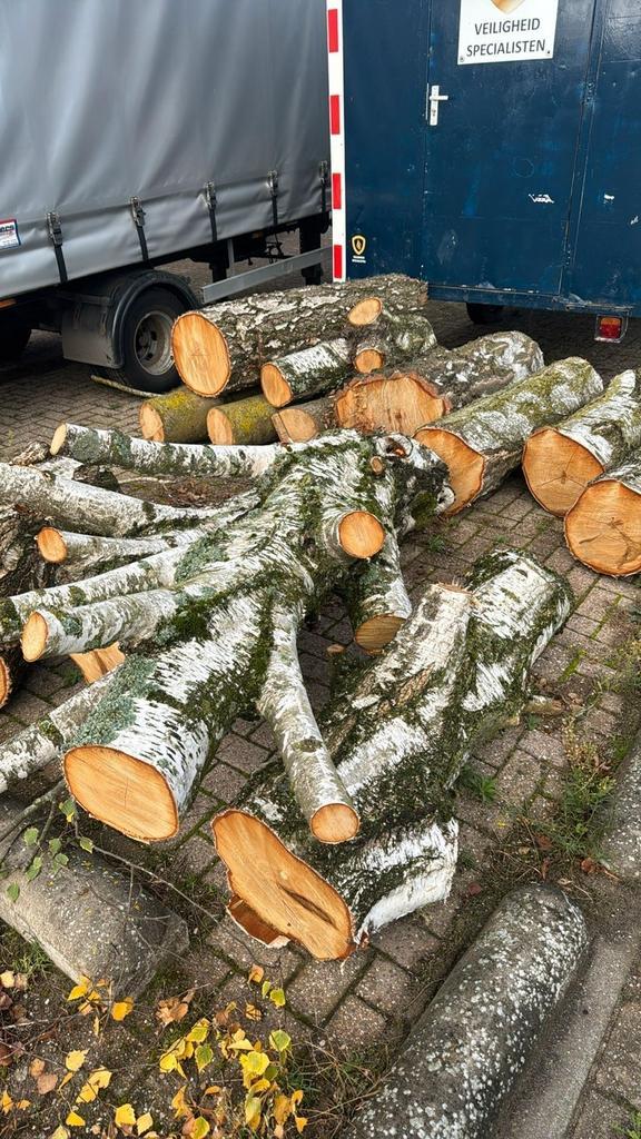 GEZOCHT bomen, boomstammen/houtstammen, Tuin en Terras, Haardhout, Minder dan 3 m³, Ophalen of Verzenden