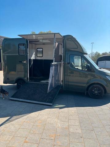 Paardentaxi Paard B.V. (Noord-Holland / heel Nederland) beschikbaar voor biedingen