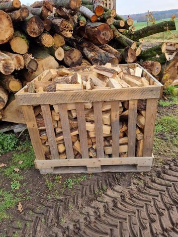 Ovengedroogd Eiken Haardhout beschikbaar voor biedingen