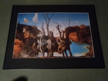 Poster Salvador Dali met paspartoe beschikbaar voor biedingen