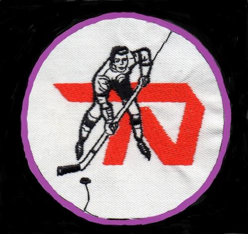 Gezocht ijshockey embleem Nationale Nederlanden Nijmegen, Sport en Fitness, IJshockey, Zo goed als nieuw, Overige typen, Verzenden