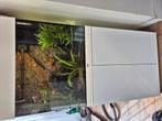 Juwel Lido 120 met vissen, Ophalen of Verzenden, Gebruikt, Gevuld zoetwateraquarium