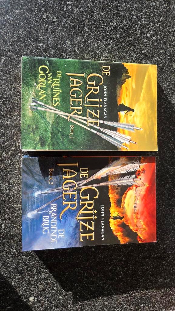 Grijze Jager deel 1 - John Flanagan, Boeken, Fantasy, Gelezen, Ophalen of Verzenden