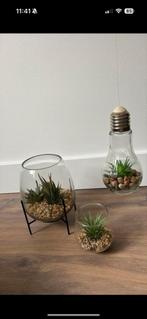 Kunst plantjes set, Ophalen, Zo goed als nieuw