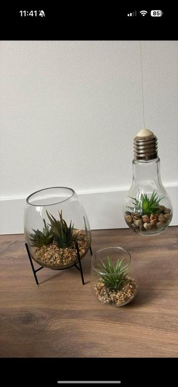 Kunst plantjes set beschikbaar voor biedingen