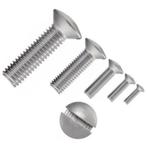 0-25 Messing Vernikkelde bout LENSKOP (m4)x10 mm hobby, Ophalen of Verzenden, Nieuw