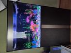 Ciano aquarium, Ophalen, Zo goed als nieuw